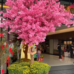 Cây Hoa Anh Đào 05