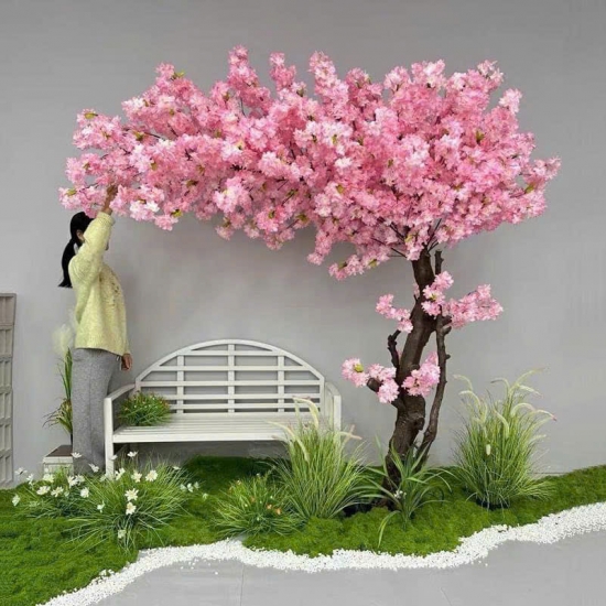 Cây Hoa Anh Đào 03