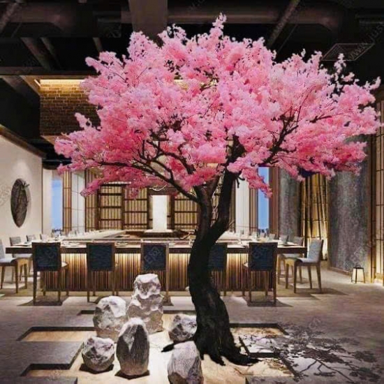 Cây Hoa Anh Đào 03