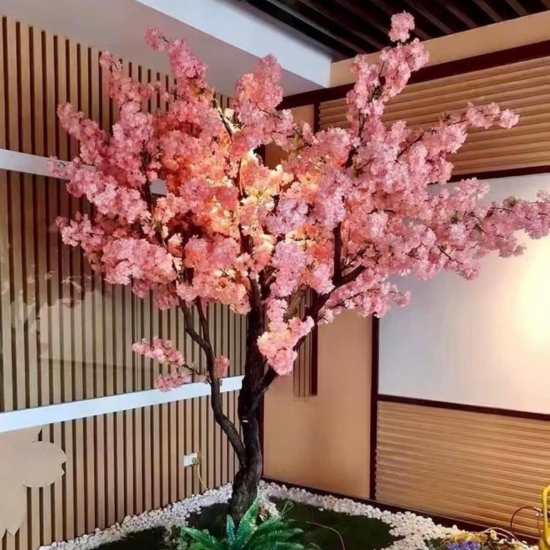 Cây Hoa Anh Đào 03