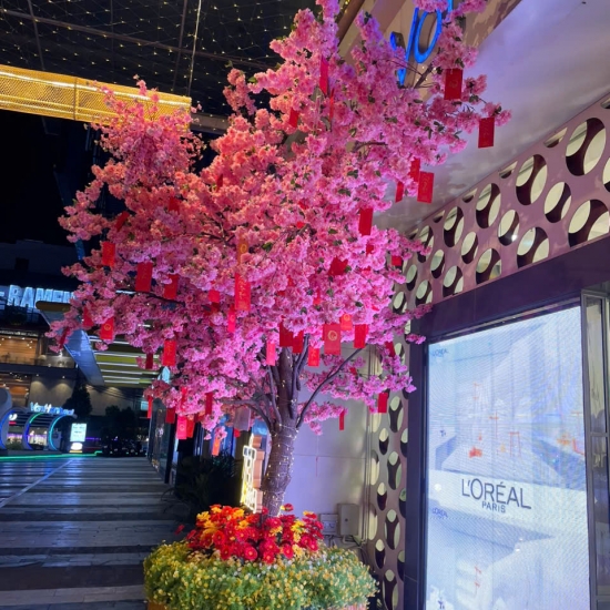 Cây Hoa Anh Đào 03