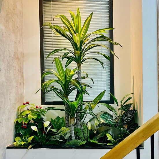 Thi Công Tiểu Cảnh 06