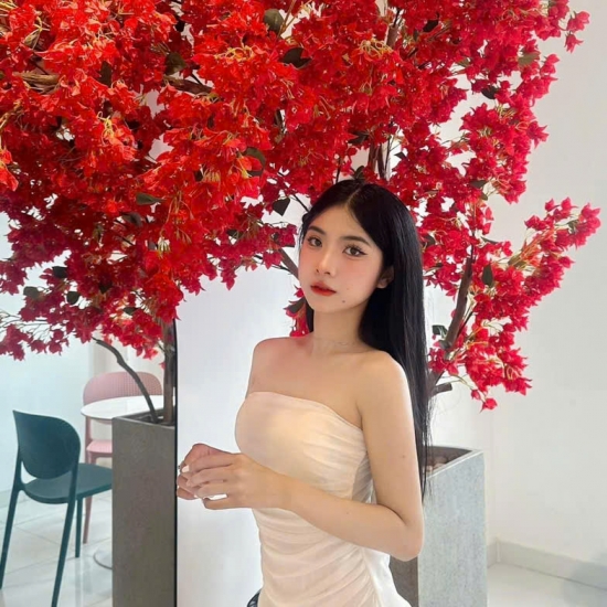 Cây Lá Phong Đỏ 03