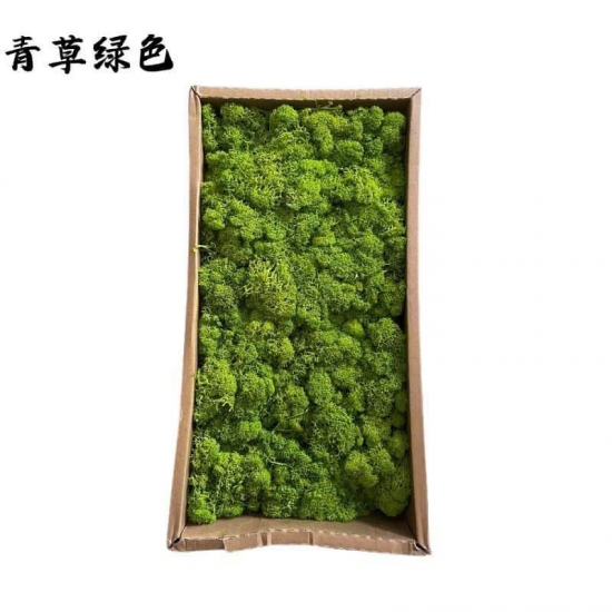 Thi công Tường rêu 06