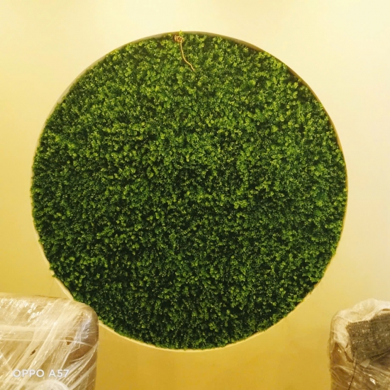 Thi công Tường rêu 06