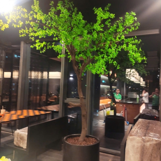 THI CÔNG HOTEL PHONG CÁCH CHÂU ÂU