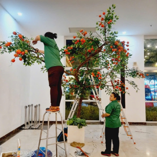THI CÔNG HOTEL PHONG CÁCH CHÂU ÂU