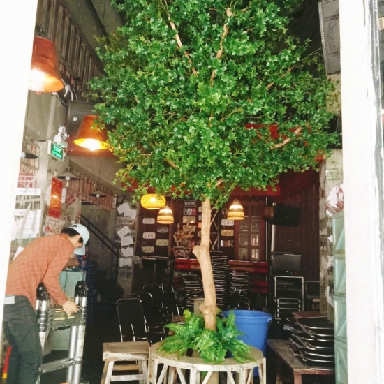 THI CÔNG HOTEL PHONG CÁCH CHÂU ÂU