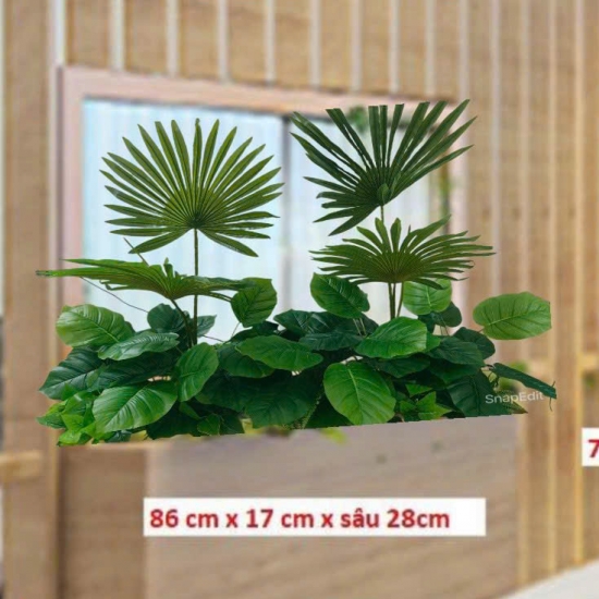 Bục Cây Văn Phòng 07