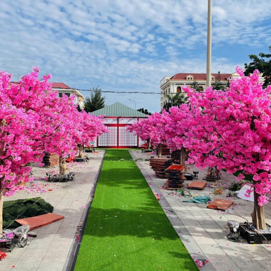 Cây Hoa Anh Đào 03