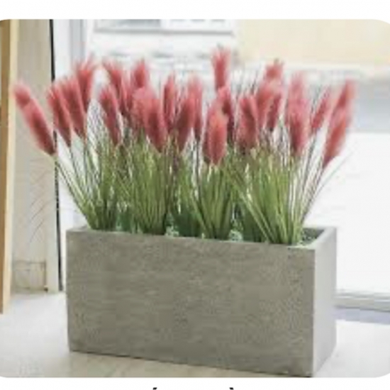 Bục Cây Văn Phòng 03