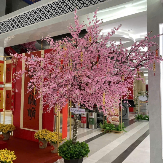 Cây Hoa Anh Đào 05
