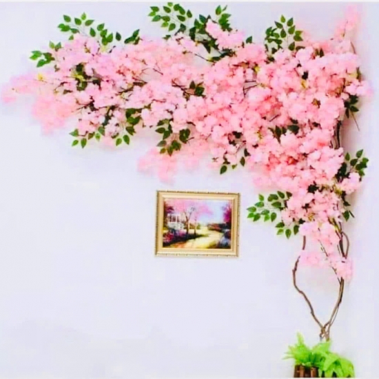 Cây Hoa Anh Đào 05