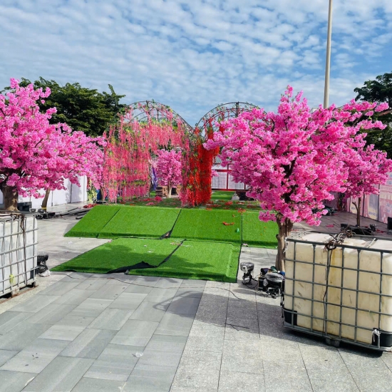 Cây Hoa Anh Đào 05