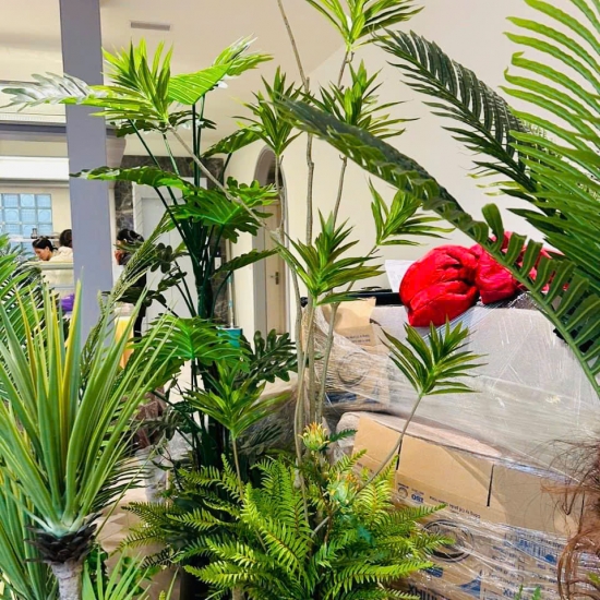 Thi Công Tiểu Cảnh 03