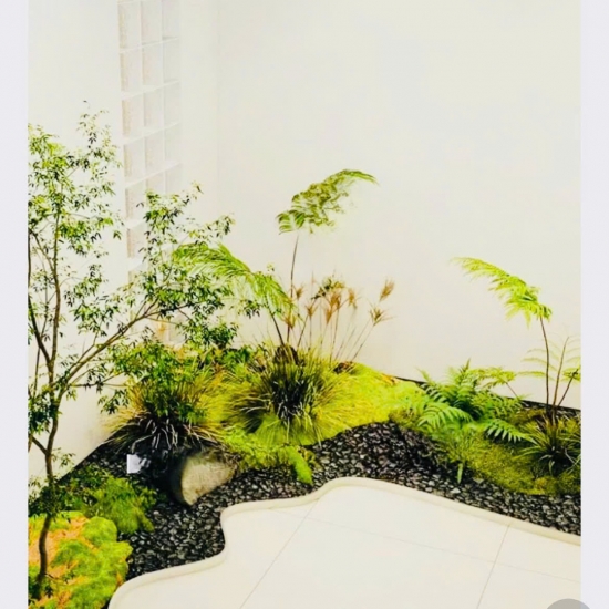 Thi Công Tiểu Cảnh 03