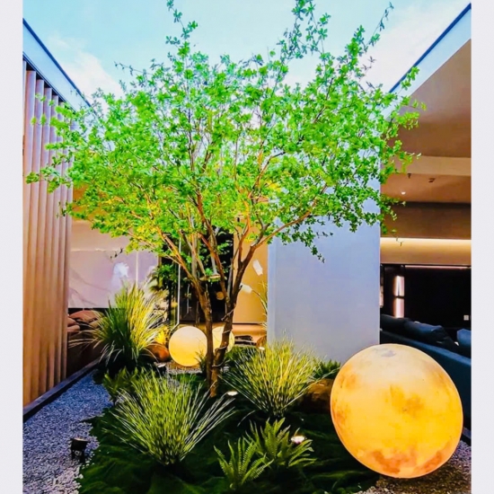 Thi Công Tiểu Cảnh 03