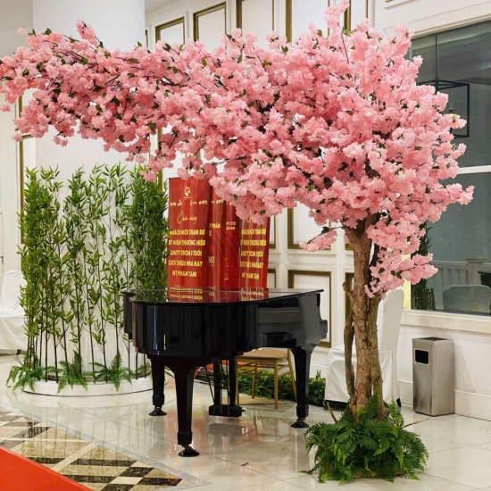 CÔNG TRÌNH CÂY ĐÀO NHẬT BẢN