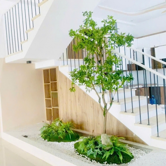 Thi Công Tiểu Cảnh 08
