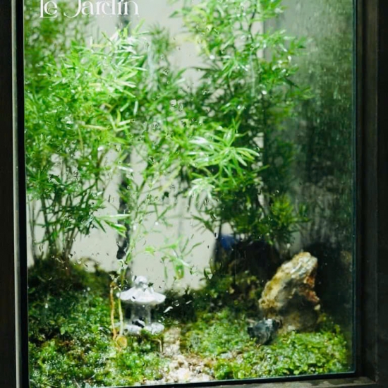 Thi Công Tiểu Cảnh 08