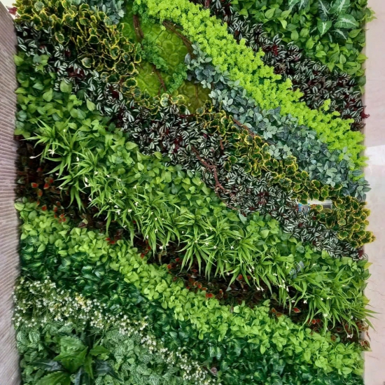 CÔNG TRÌNH TƯỜNG CỎ TRUNG TAM