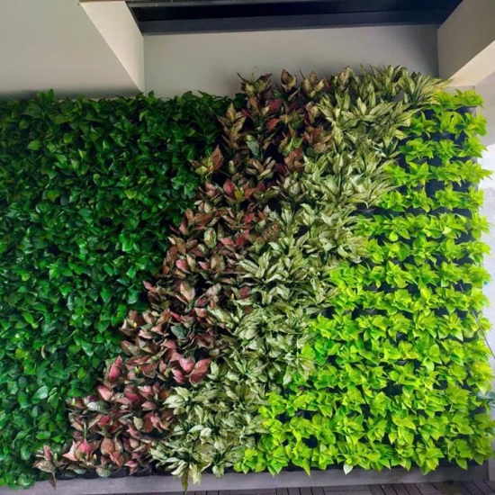 Thi công tường cỏ 04