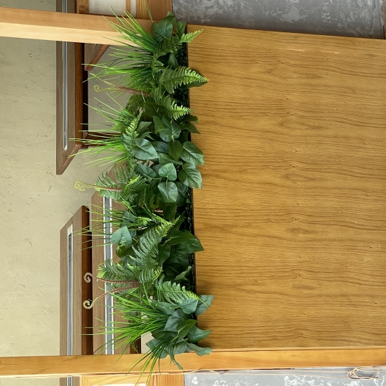 Bục Cây Văn Phòng 04