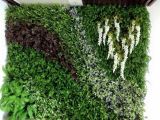 Tường cây giả, tường cỏ giả – Giải pháp xanh hiệu quả cho các mảng tường thẳng đứng  
