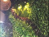 Tường Cây Giả Là Gì? Ứng Dụng Của Tường Cây Giả Quanh Ta