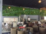 Hướng Dẫn Thi Công Tường Lá Cây Giả Trong Nhà Đơn Giản